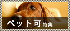 �y�b�g�������W