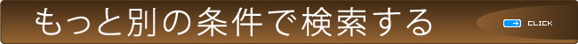 もっと別の条件で検索する